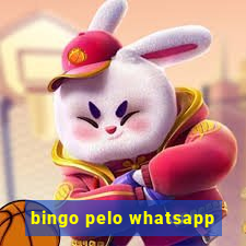 bingo pelo whatsapp